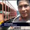 Jalan Pantura Losari-Cirebon Mengalami Kemacetan