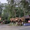 Wisata Bandung Orchid forest